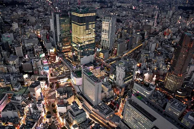 Wide aerial panorama of Tokyo's districts and green spaces from a Tokyo helicopter tour